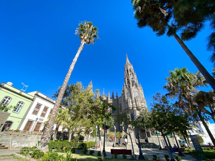 canarias_grancanaria-19