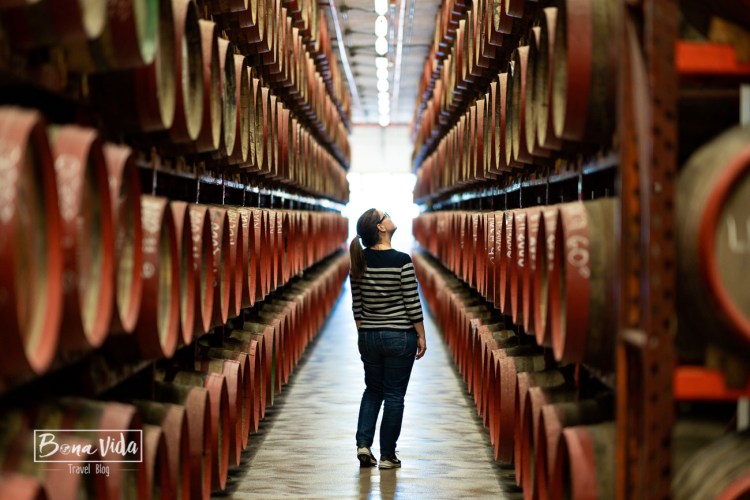 canarias_grancanaria-20