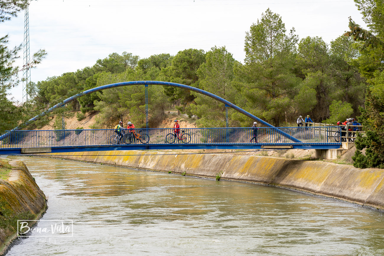 aitona_lleida_floracio-21