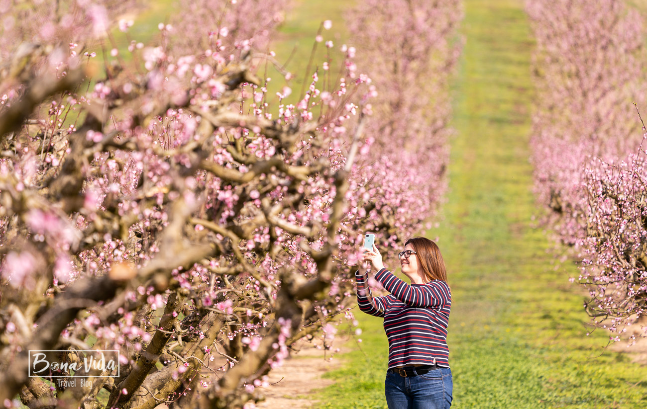 aitona_lleida_floracio-3