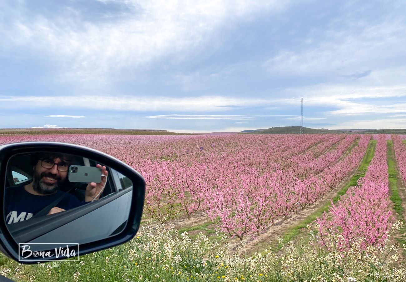 aitona_lleida_floracio-34