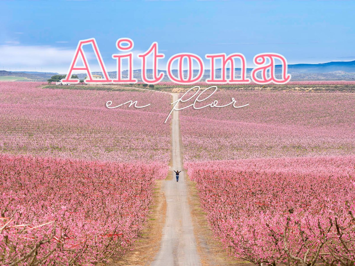 Aitona en flor. L’espectacle de la floració a les terres de&nbsp;Lleida