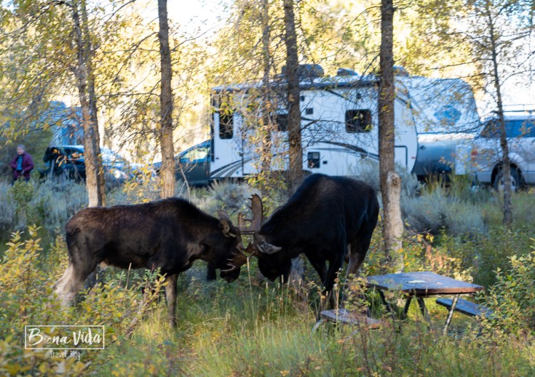 ruta usa costa oest-18