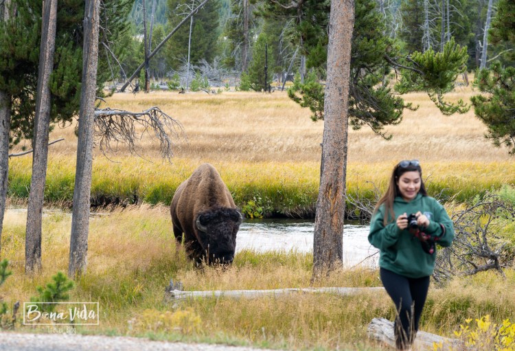 ruta usa costa oest-23