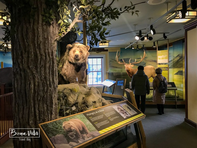 ruta usa costa oest-29