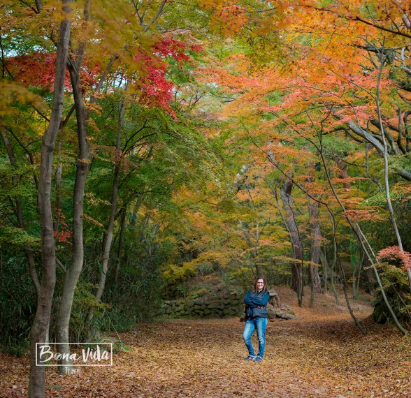 ganes de mon corea cris tardor-3