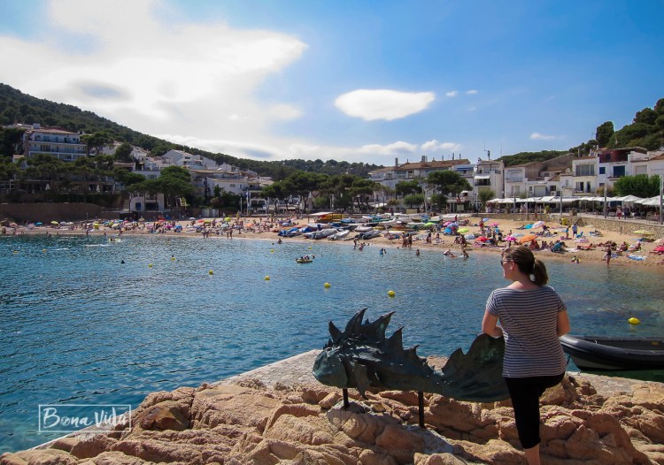 ganes de mon costabrava cris estiu