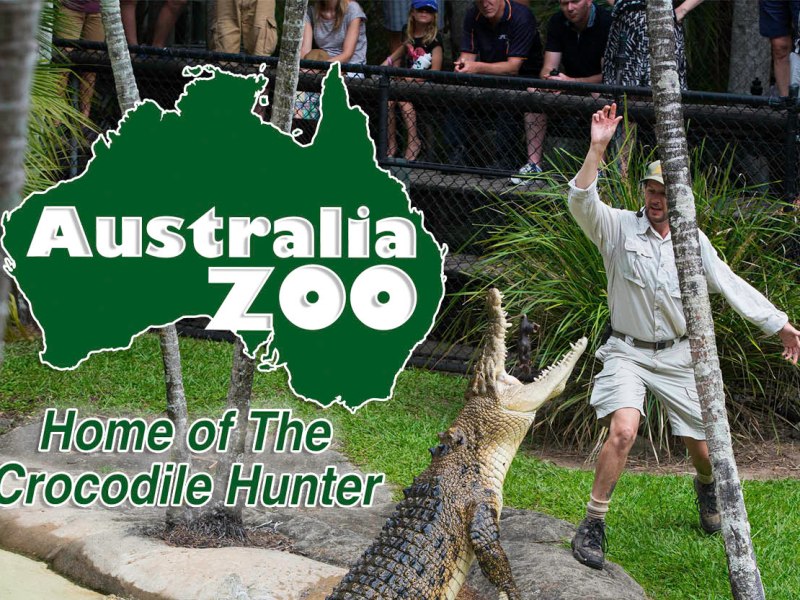 Visitant la Reserva d’Animals d’Steve Irwin, el caçador de cocodrils. Australia&nbsp;Zoo