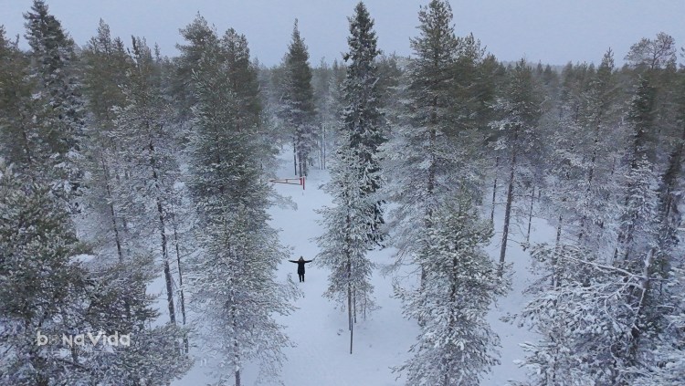 Una persona amb braços oberts, envoltada d'arbres de pi coberts de neu, en un paisatge hivernal tranquil.
