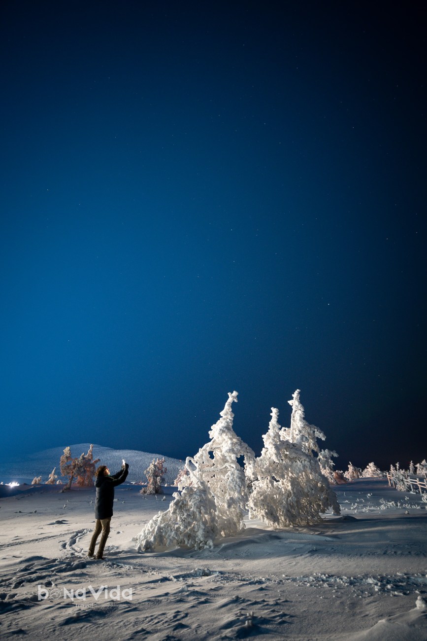 Una persona de peu, fotografiant arbres nevats i un cel nocturn estrellat.